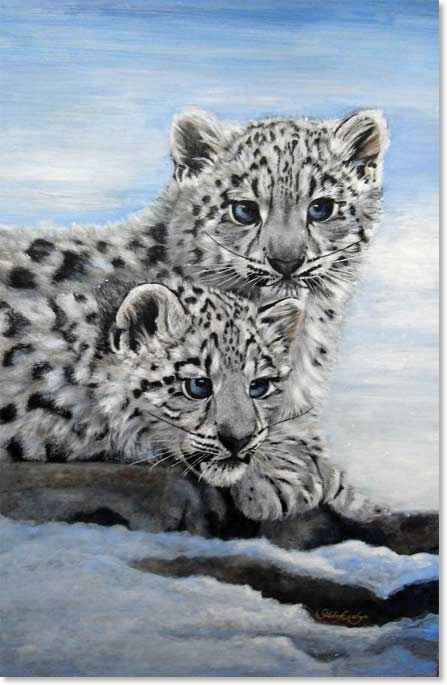 snow leopard cub in snow. Snow Leopard Cubs